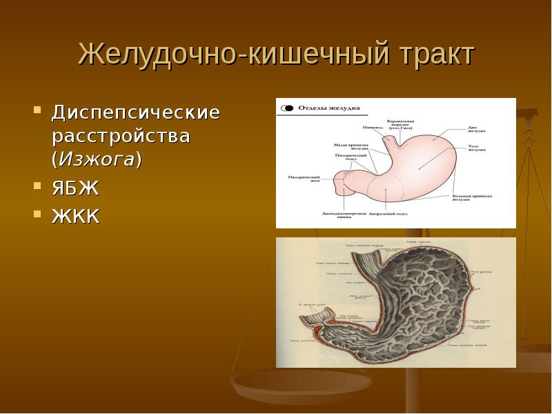 Тест по жкт. Желудочно кишечный тракт. Клапаны желудочно-кишечного тракта. Клапаны ЖКТ человека.