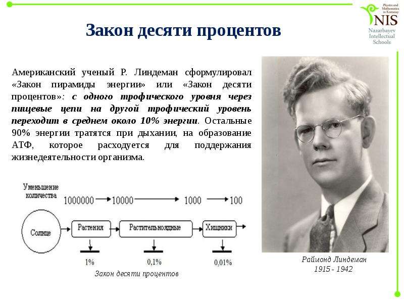 Закон линдемана. Теория Линдемана. Схема Линдемана. Линдеман экология. Описание схемы Линдемана.