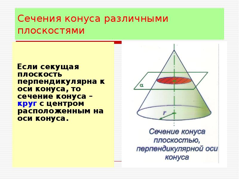 В конусе проведено