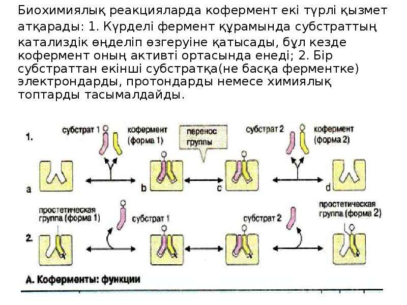 Биохимиялық әдіс