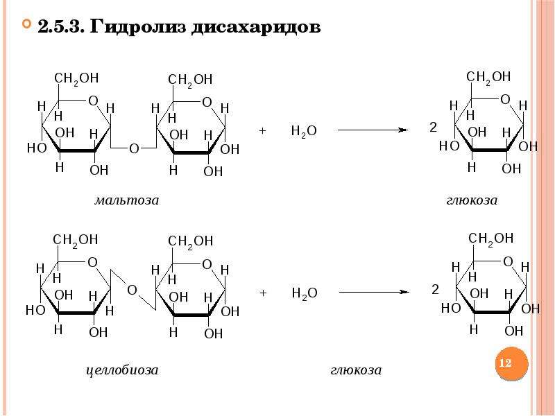 Ферменты дисахариды. Реакция гидролиза дисахаридов. Гидролиз полисахаридов уравнение реакции.