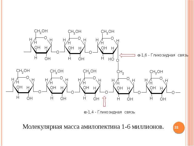 Полисахариды химические свойства. Номенклатура полисахаридов. Полисахариды органическая химия. Молекулярная масса полисахаридов. Олигосахариды.