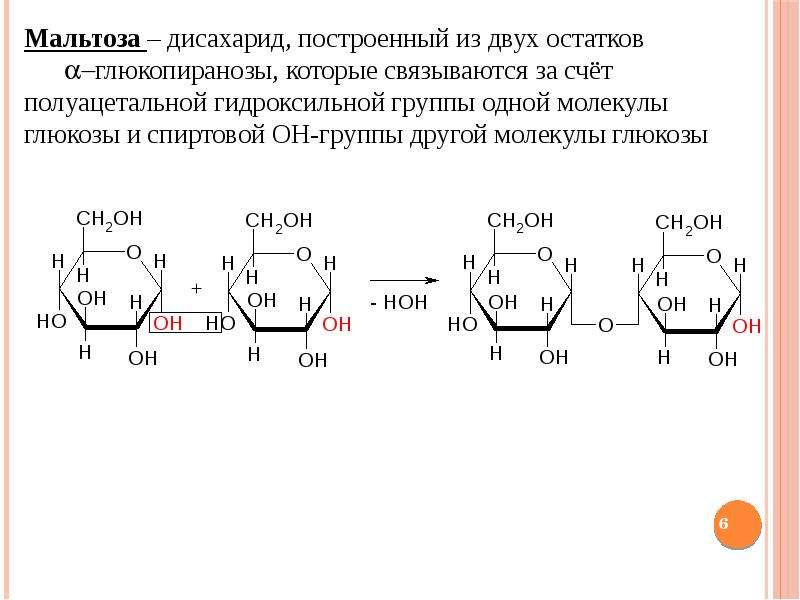 Две молекулы глюкозы