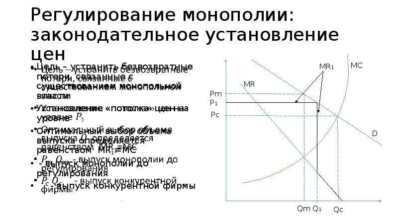 Деятельность фирмы в условиях монополии проект