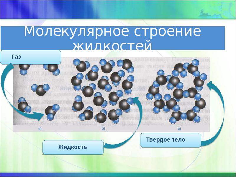 Испарение и конденсация в живой природе проект