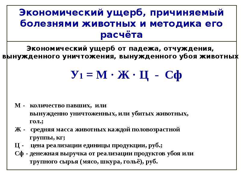 Методика оценки и расчета нормативов социально экономического ущерба от дтп