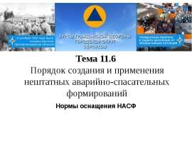 Порядок создания и применения нештатных аварийно-спасательных формирований. Нормы оснащения НАСФ