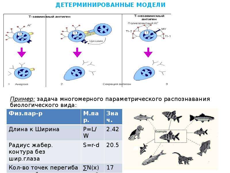 Классификация математических головоломок проект