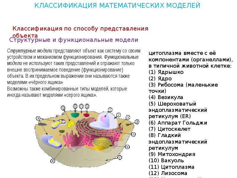 Классификация математических головоломок проект