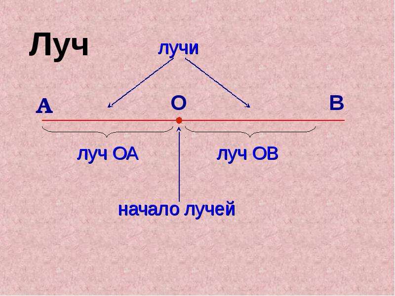 Математика 5 класс точка прямая отрезок луч