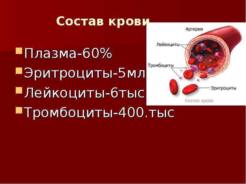 Состав крови фото