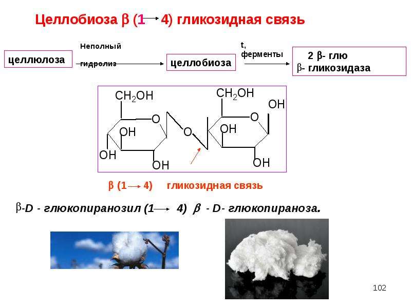 Схема гидролиз целлюлозы