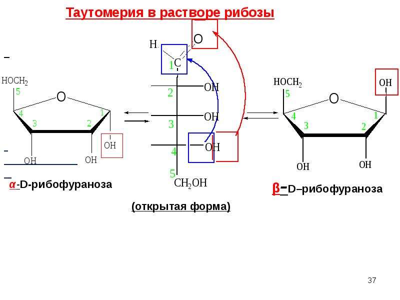 Схема таутомерных превращений d маннозы в растворе