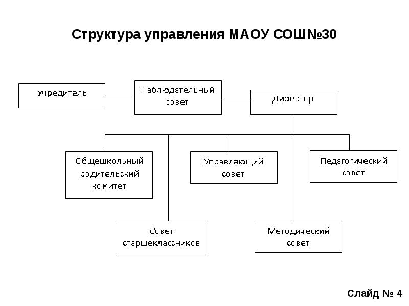 Пример учредители организации. Структура управления МАОУ. Организационной структуры управления МАОУ лицей 142.