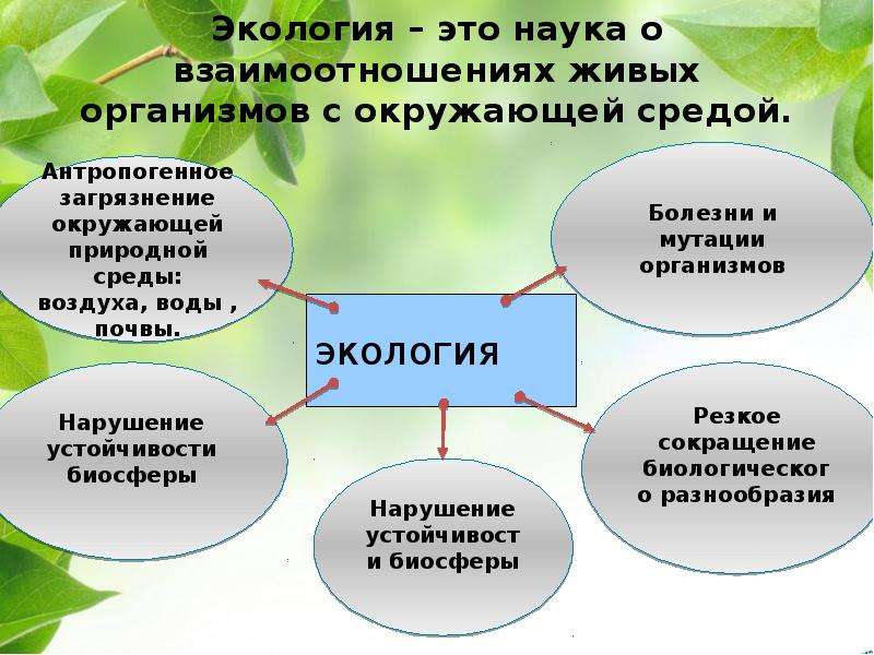 Окружающей среды должна. Экология. Окружающая среда. Экология это наука. Экоголия.