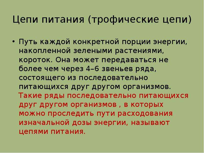 Презентация по теме цепи питания поток энергии 7 класс