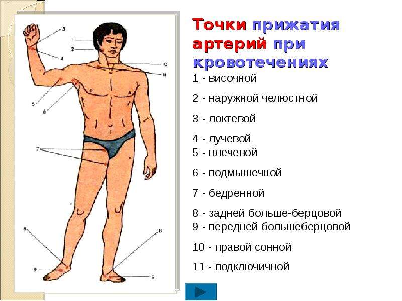 Признак эффективности пальцевого прижатия артерии