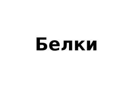 Белки. Функции белков