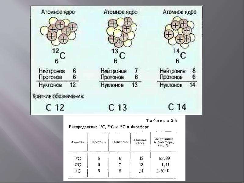Сколько протонов содержится в изотопе. Молярная масса изотопа углерода. Состав ядра изотопа углерода 12. Состав изотопа углерода. Состав ядер изотопов углерода.