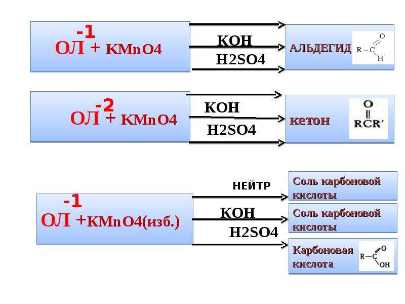 Презентация овр 8 класс рудзитис