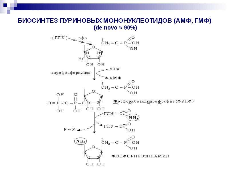 Схема биосинтеза амф и ГМФ de novo.. Биосинтез пуриновых мононуклеотидов. Схема синтеза пуриновых мононуклеотидов. Биосинтез пуриновых мононуклеотидов «de novo»..