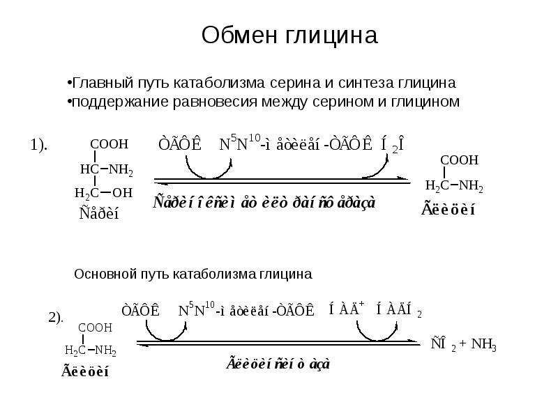 Особенности обмена глицина. Схема обмена глицина. Обмен глицина и Серина реакции. Катаболизм глицина.