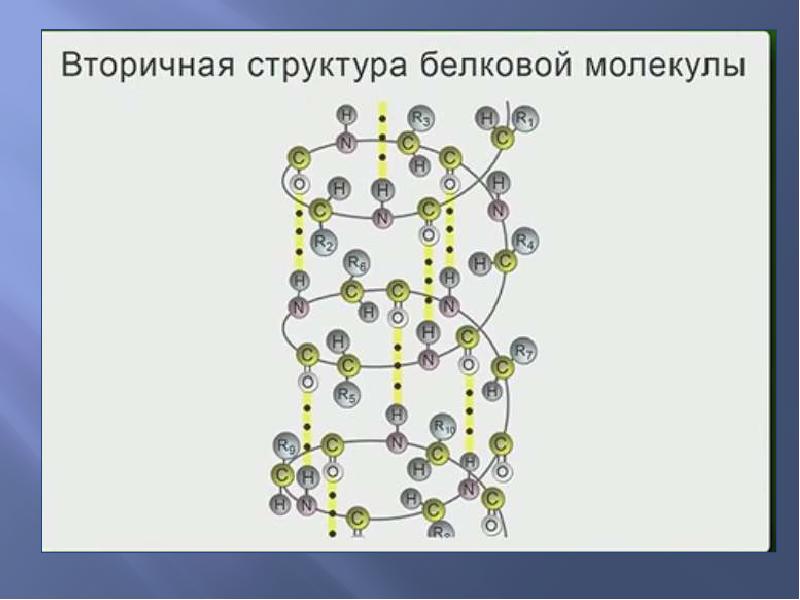 Водородная химическая связь 11 класс презентация