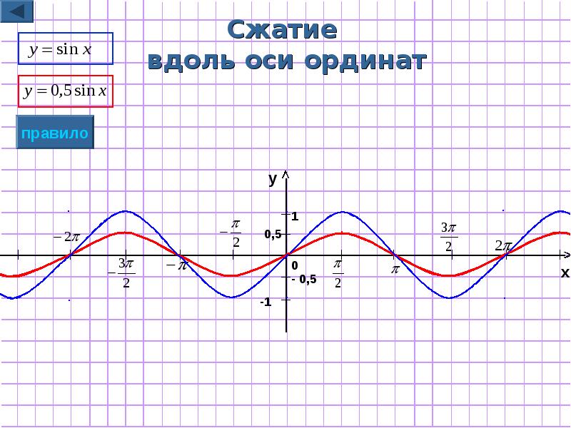 График вдоль. Сжатие Графика функции к оси ординат. Сжатие Графика вдоль оси ох. Сжатие вдоль оси ОУ. Сжатие вдоль оси ординат.