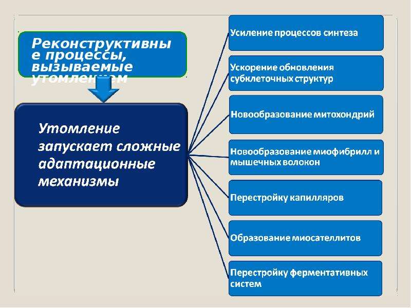 Вызывающий процесс. Физиология физического воспитания. Предмет физиологии физического воспитания. Презентация по физиологии физического воспитания и спорта. .Роль физиологии физического воспитания.