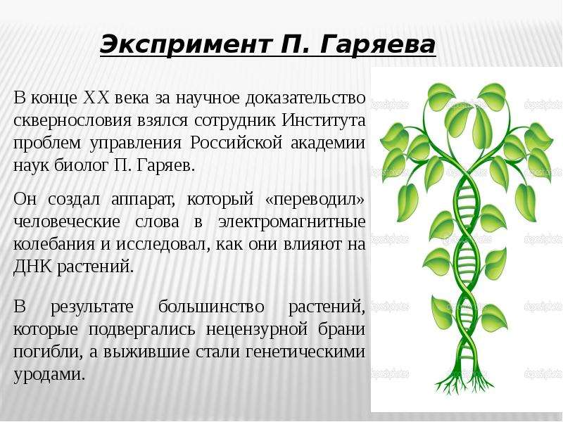 Вирус сквернословия презентация