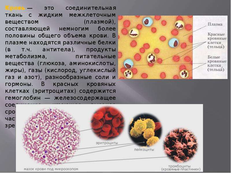 Плазма составляет тест. Структура белой ткани.