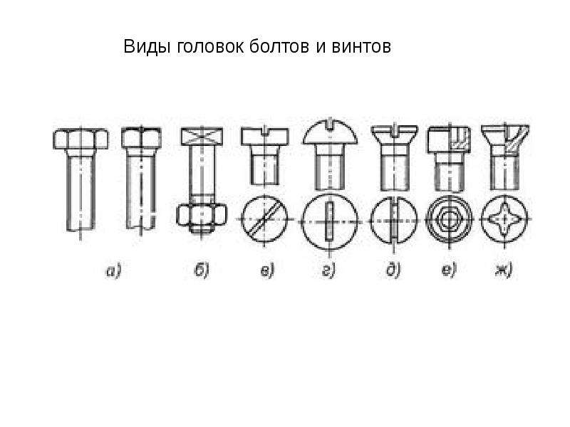 Виды винтов и болтов с картинками