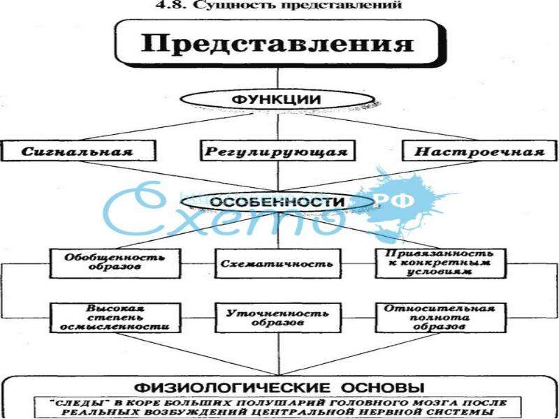 Общая психология характеристика. Создать в тетради схему познавательных процессов,.