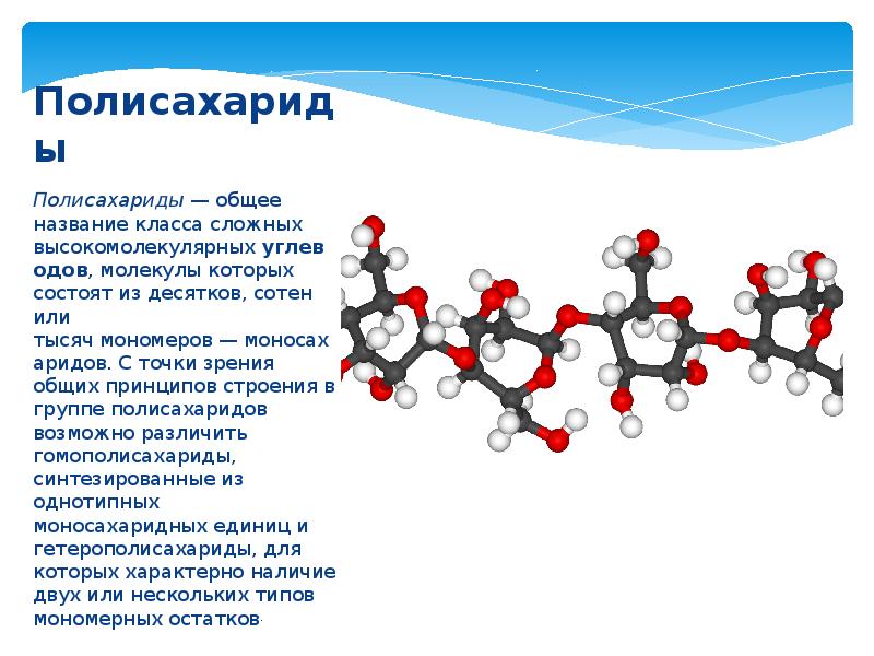 Презентация на тему полисахариды