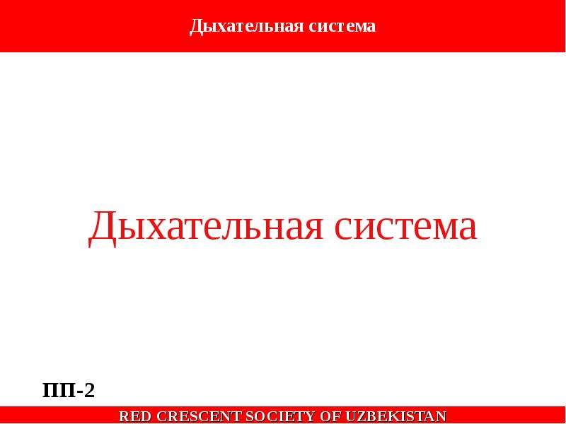 Основой первой. Red 7 презентация. Red System.