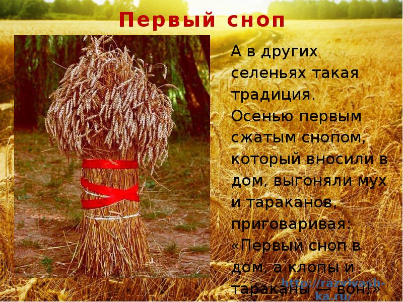 Строение для снопов 4