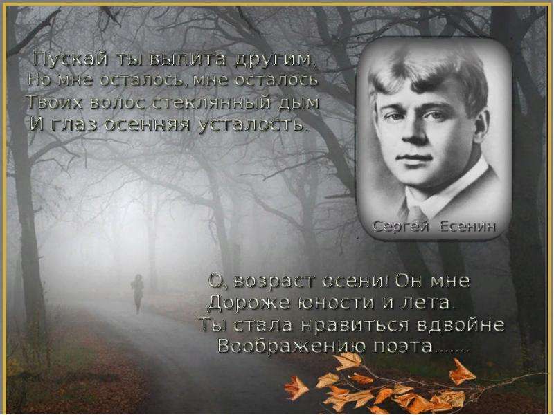 Новик есенин