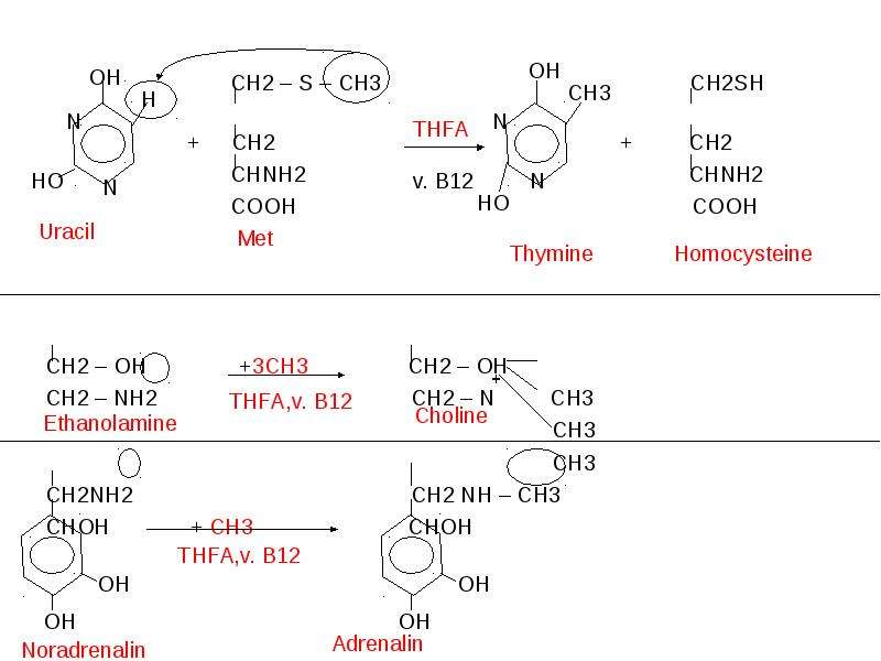 Б ch2 ch ch2 ch ch3. Ch3-NH-ch2-ch2-ch3. Nh2- Ch (ch3)- ch2 – Ch(ch3) – Ch(ch3)-Cooh. Ch3-ch2-ch2-ch2-ch2-ch2-Cooh. Nh2ch2c(ch3)2cooh.