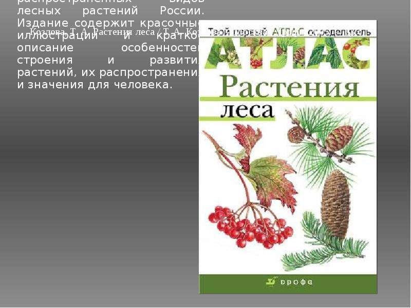 Книги растений лесные. Книги о лесных растениях. Книга растения леса. Получение пряжи из лесных растений книга.