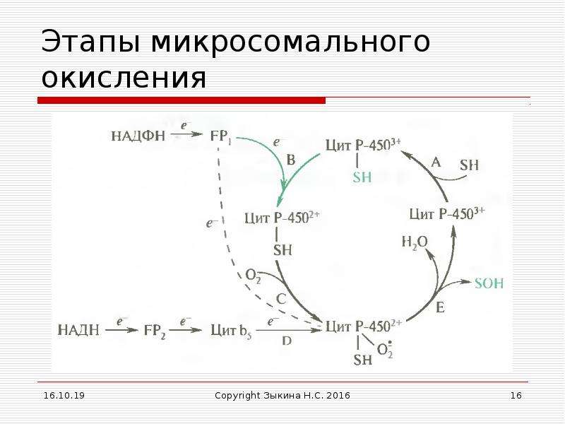 Микросомальное окисление схема