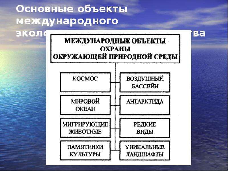 Объекты охраны природной среды. Объекты международного экологического права. Объекты и субъекты международного экологического права. Основные объекты международного экологического сотрудничества. Субъекты международного экологического права.