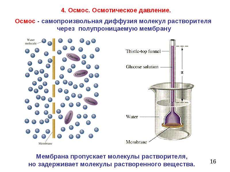 Определите осмотическое давление