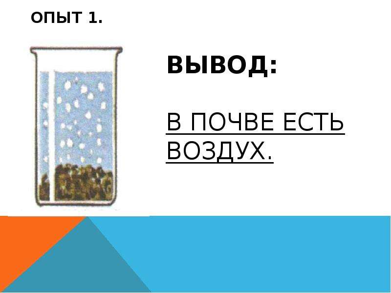 Какой вывод об образцах почв можно сделать в результате этого опыта