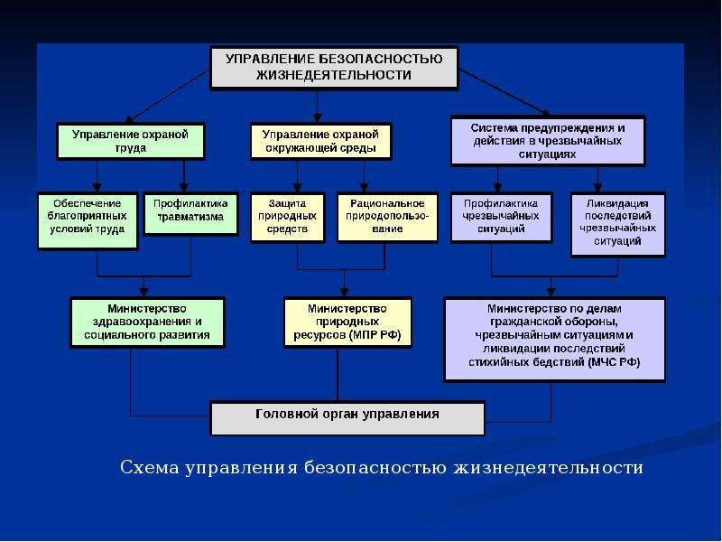 Управление безопасностью проекта