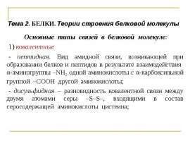 Белки. Теории строения белковой молекулы. (Тема 2)