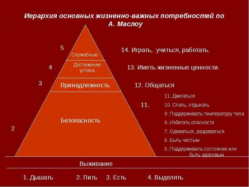 Иерархия в семье картинки