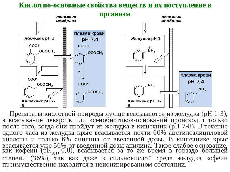 Биоорганическая химия