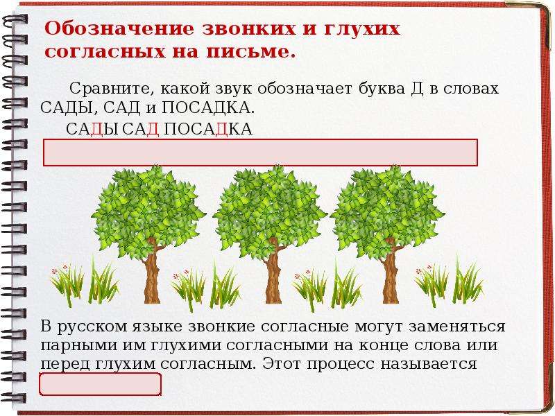 Есть слово сад. Слова сад сады. Формы слова сад. Звуковое слова сад. Сравнение на письме.