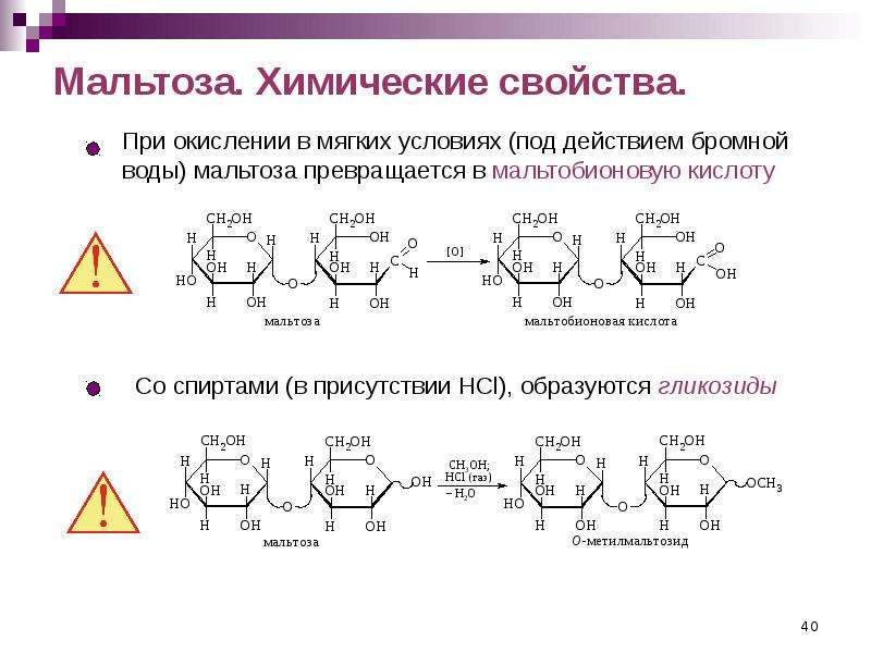 Химические свойства углеводов презентация