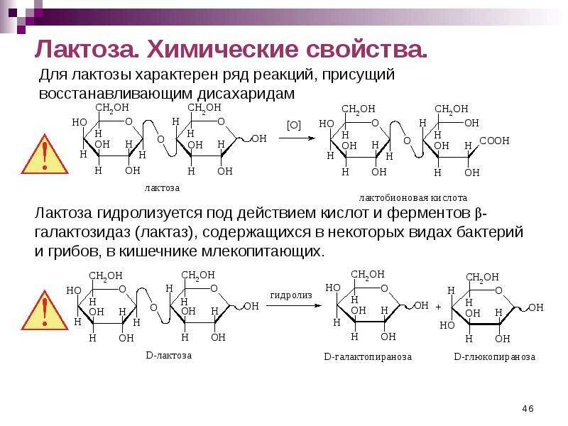 Углеводы рисунок химия